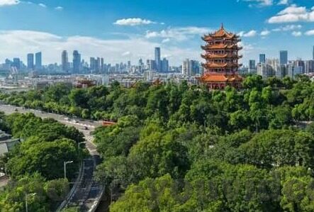 麻豆短视频免费下载-揭秘免费下载麻豆短视频的奇妙之旅,释放创意与便利的双重魅力