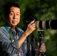 免费日韩av在线-日韩影视文化的一瞥，免费资源与版权意识的平衡