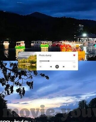 上海夜会dvd中文字幕版-夜上海的温柔邂逅，一部不可错过的中文字幕版夜会DVD